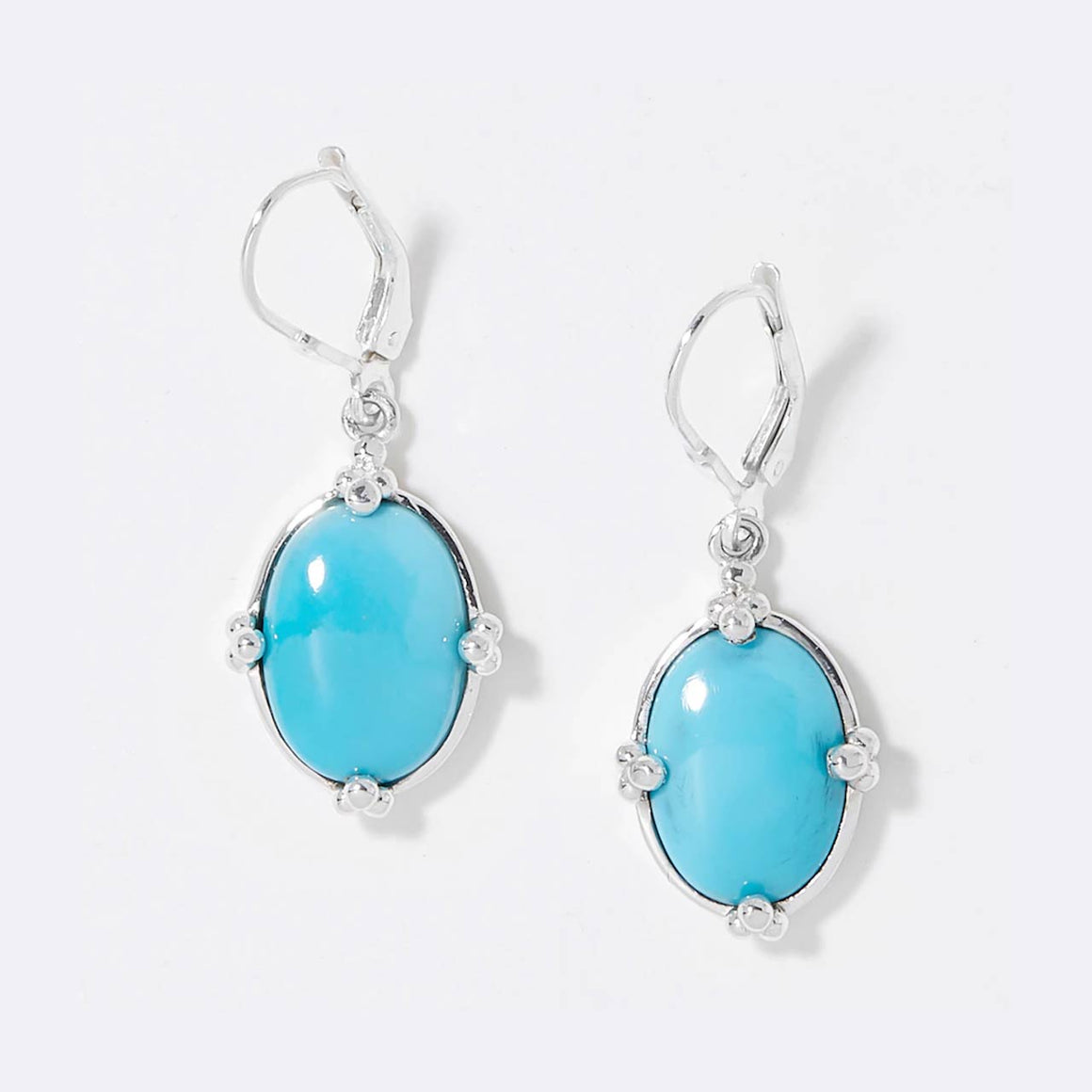 Sleeping Beauty Turquoise Bold Oval Drop Earrings
